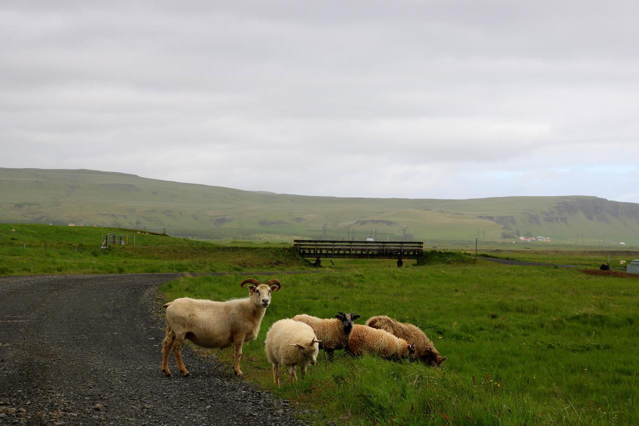 Adventure Hotel Geirland Kirkjubæjarklaustur Eksteriør billede