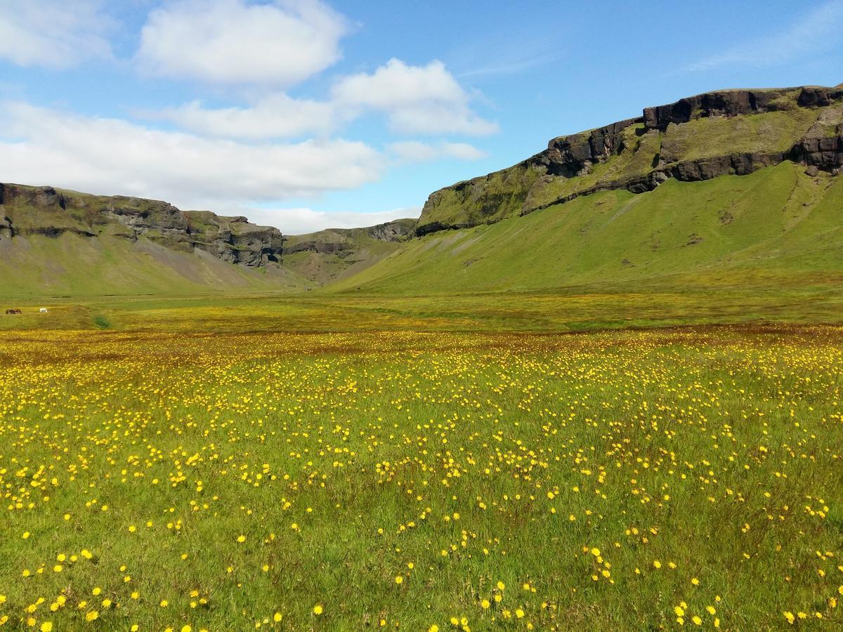 Adventure Hotel Geirland Kirkjubæjarklaustur Eksteriør billede